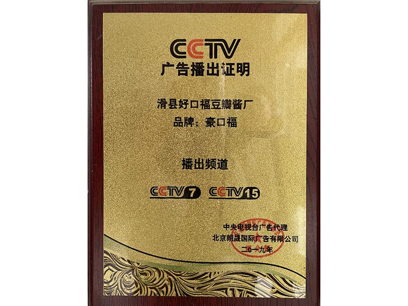 CCTV广告播出证明